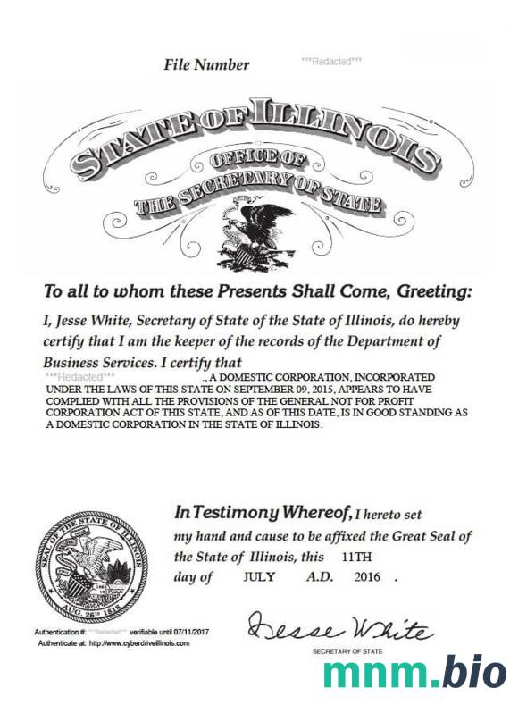 USA Illinois vcertyfikat of good standing